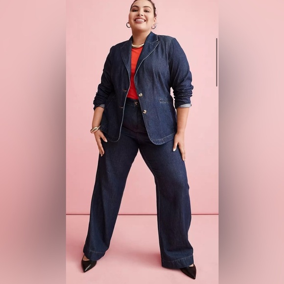 LANE BRYANT Dressy Trouser Jean SIZE 20P - Picture 5 of 16